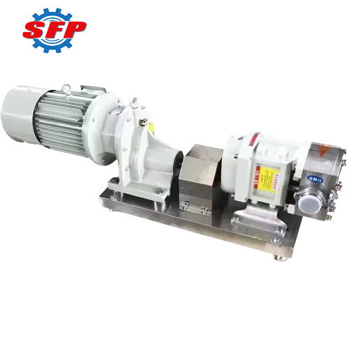 High Pressure Rotary Lobe Pump